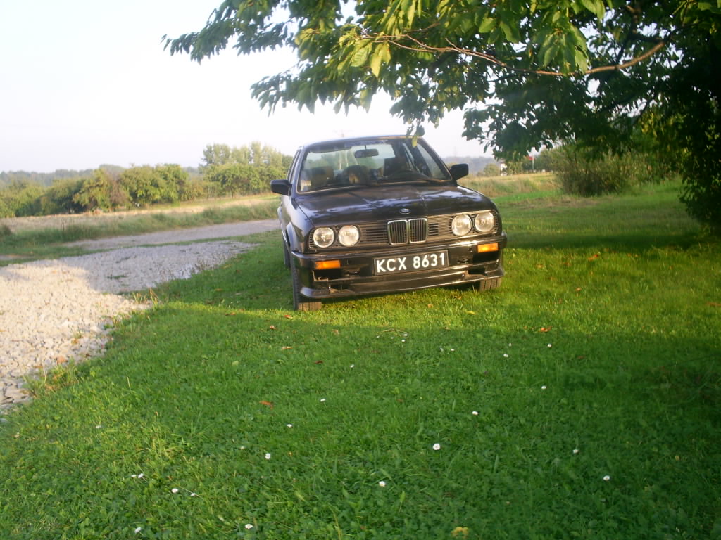 Rafal