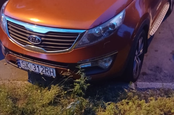 Sprzedam - Zdjęcie 6