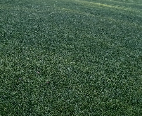 Nawadnianie ogrodów - Zdjęcie 1