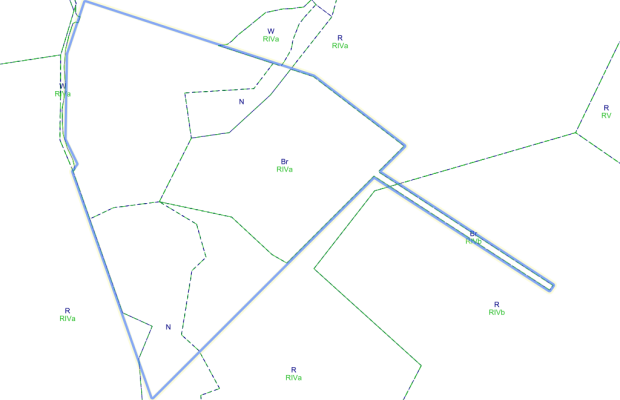 Nieruchomość siedliskowa 20.100m2 - Zdjęcie 4