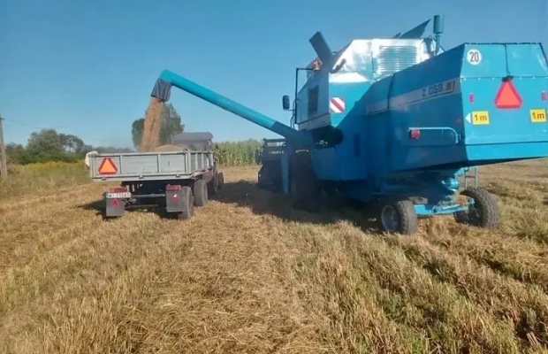 Sprzedam Bizon Rekord Siedlce mazowieckie - Zdjęcie 7