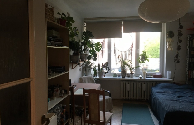 kawalerka do wynajecia - Zdjęcie 1