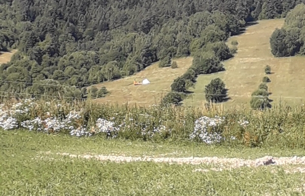 Sprzedam gospodarstwo - Zdjęcie 1