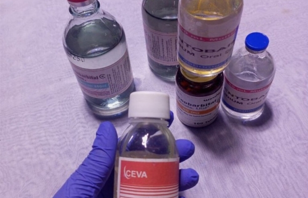 Buy Nembutal sodium online,Buy weight loss pills online - Zdjęcie 1