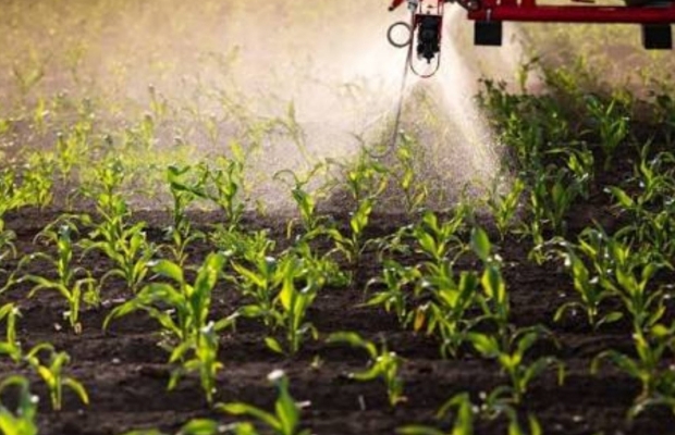 Dla barwników i rolnictwa, dnp yellow - Zdjęcie 2