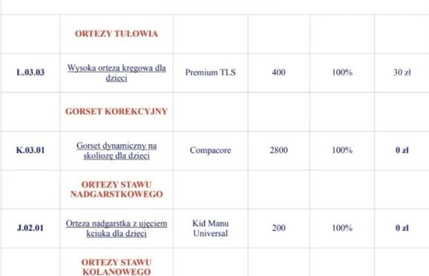 Rehabilitacja Domowa,usługi opiekuńcze,Sprzęt rehabilitacyjn - Zdjęcie 9