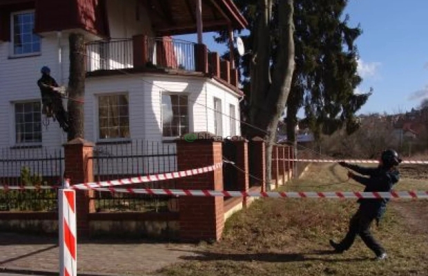 Ścinka sekcyjna drzew - Zdjęcie 1