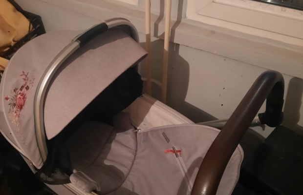 Sprzedam - Zdjęcie 4