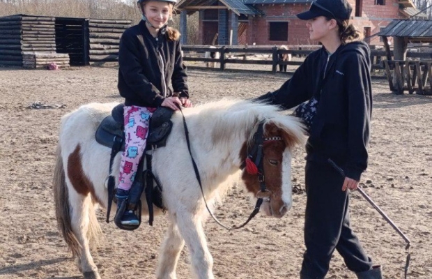 Nauka jazdy konnej. - Zdjęcie 1