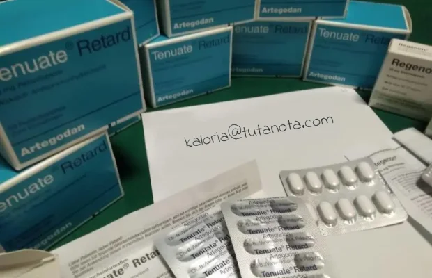 Tenuate Retard Oryginalny Made In Germany Oraz Regenon - Zdjęcie 2