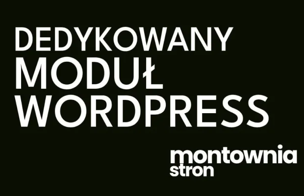Programista WordPress/WooCommerce - wtyczki na zamówienie | - Zdjęcie 1