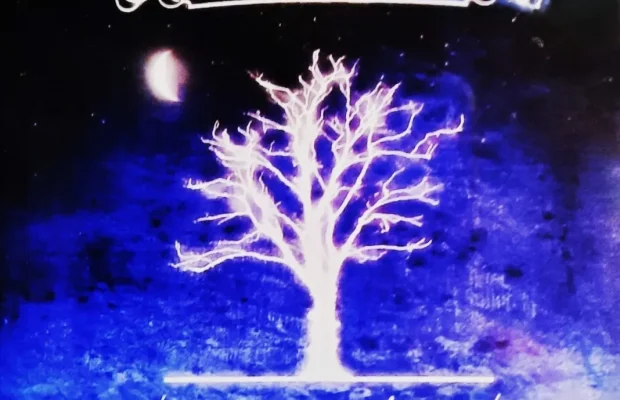 Polecam Zestaw 5 Płyt CD FAITH NO MORE 5 Albumów CD - Zdjęcie 10