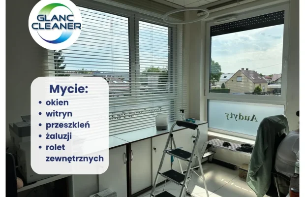 GOŁUSKI> Mycie okien i przeszkleń | Firmy | Domy - Zdjęcie 2
