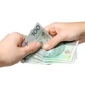 Szybka Pożyczka Pomoc od 10,000 € do 10,000.000 €(PLN) - Zdjęcie 2