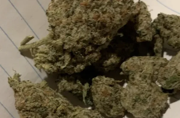 LEMON OG 24%THC / PIGUŁY MDMA / KWAS LSD / KRYSZTAŁ 4MMC - Zdjęcie 3