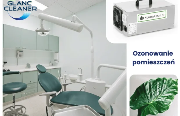 Ozonowanie mieszkań, domów i aut – Poznań i okolice - Zdjęcie 1