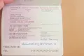 Kup Paszport Nierejestrowany Lub Rejestrowany - 2