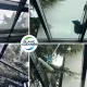 Poznań i powiat - Mycie okien i przeszkleń | Witryn | - 5