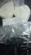 ketamine-vs-etomidate ,etomidate -order tiletamine,etomidate - 3