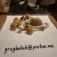 Grzybki McKennaii - 2