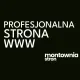 Strony internetowe Kraków - od 100 zł/mies. lub 2000 zł jedn - 1