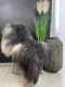 Naturalna, piękna skóra owcza Melerade - 4