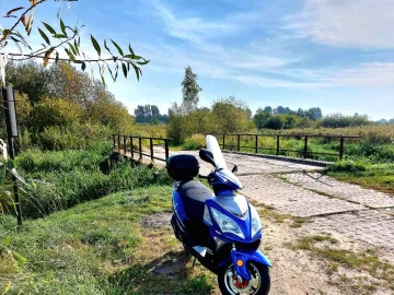 Zdjęcie: Sprzedam