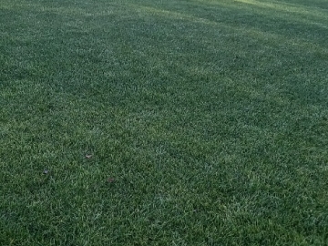 Zdjęcie: Nawadnianie ogrodów