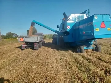 Zdjęcie: Sprzedam Bizon Rekord Siedlce mazowieckie