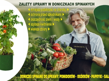Zdjęcie: Doniczki spinane do uprawy warzyw w ogrodzie