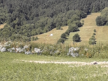 Zdjęcie: Sprzedam gospodarstwo