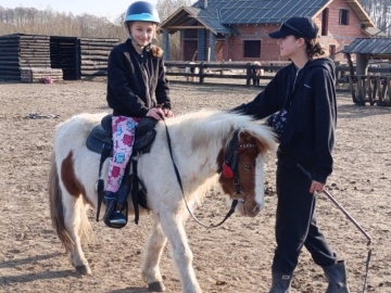 Zdjęcie: Nauka jazdy konnej.