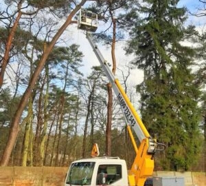 Zdjęcie: Wynajem podnośnika