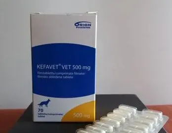 Zdjęcie: Weterynarium Lekarstwa weterynaryjne dla klientów indywidual