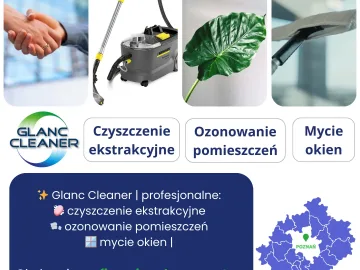 Zdjęcie: TARNOWO PODGÓRNE >Pranie tapicerki samochodowej dla FIRM