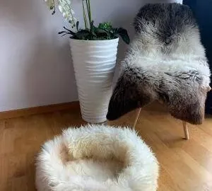 Zdjęcie: Legowiska dla zwierząt domowych 50cm,70cm