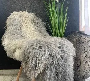 Zdjęcie: Skóra owcza Gotland