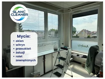 PALĘDZIE > Mycie okien i przeszkleń | Firmy | Domy